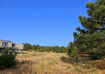 LOTE 100 EN VENTA - ECUESTRE, COSTA ESMERALDA